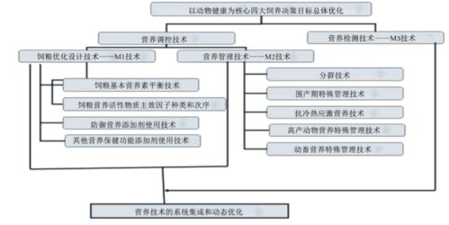 構建動物健康營養(yǎng)體系 學科戰(zhàn)略突破與應用新篇章